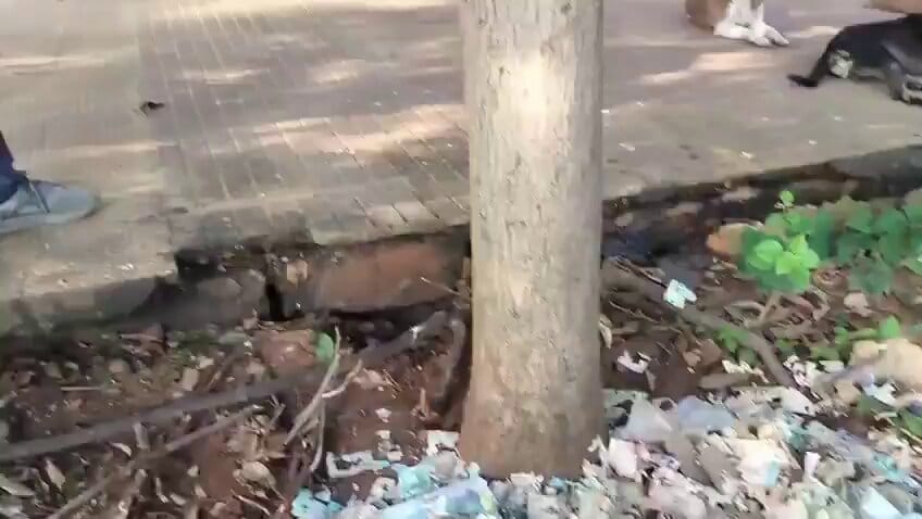 Torn Currency Notes, PAN Card Found Outside Visakhapatnam's Central Park