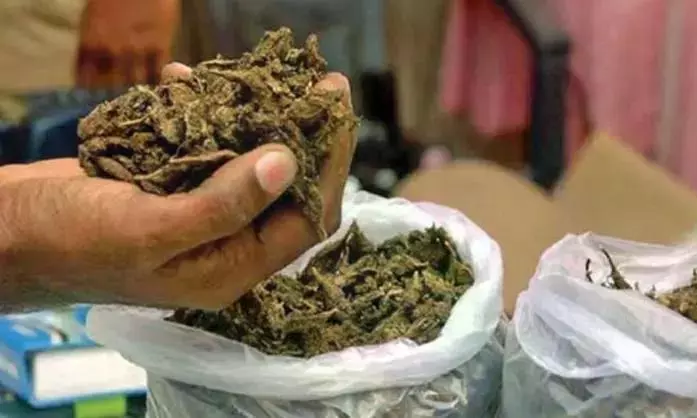 Two ex-security guards arrested for selling illegal substances near Kondapur Hospital