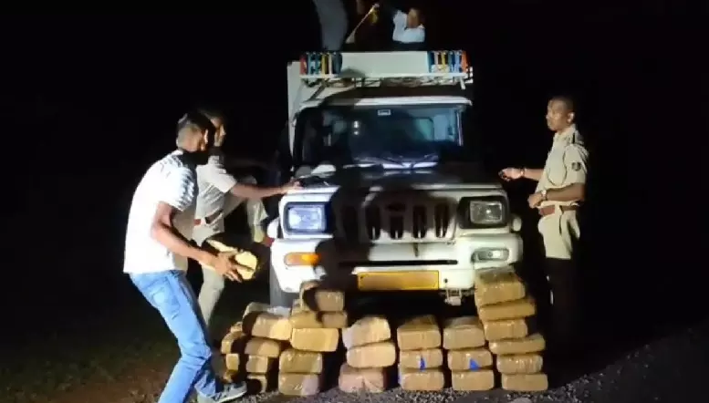 Odisha: 214 Kg Ganja Seized From Secret Chamber of Pickup Van, One Held