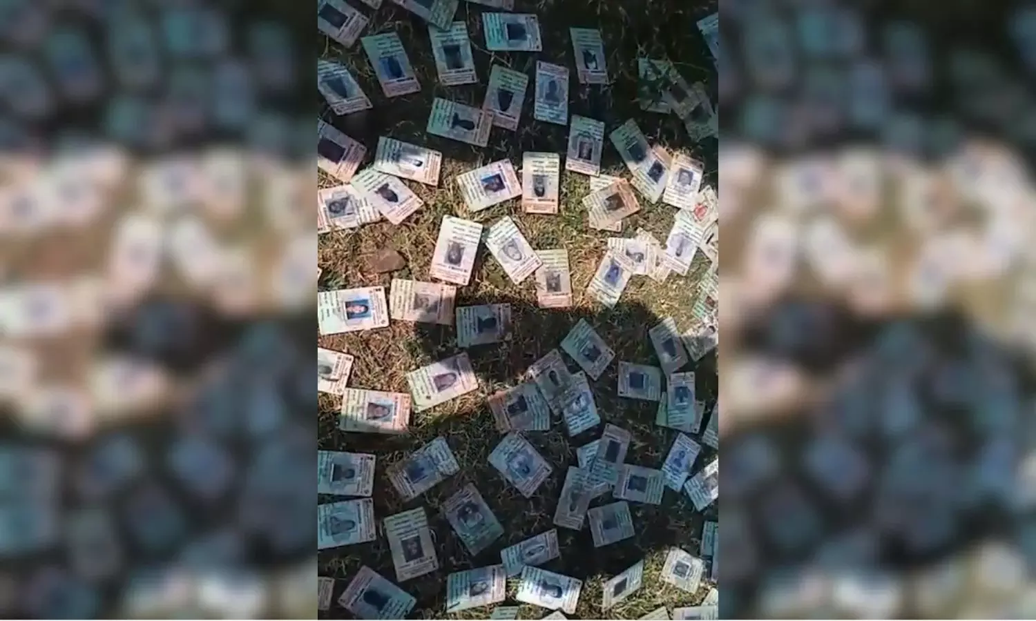 343 Voter ID Cards Found on Narmada Riverbank in Madhya Pradesh, Probe Ordered
